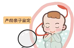 贵阳父亲和肚中胎儿如何办理亲子鉴定,贵阳无创产前亲子鉴定收费明细 贵阳父亲和肚中胎儿如何办理亲子鉴定,贵阳无创产前亲子鉴定收费明细